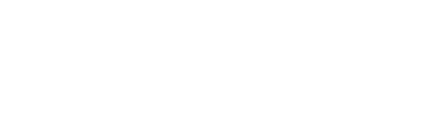 DLI Logo